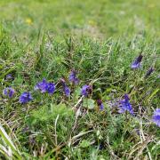 IMG_20190510_115213 (1)