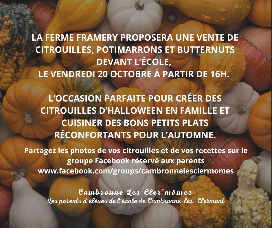 Citrouilles