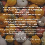 Citrouilles